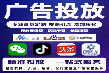 SEM广告投放的竞价策略与效果评估案例